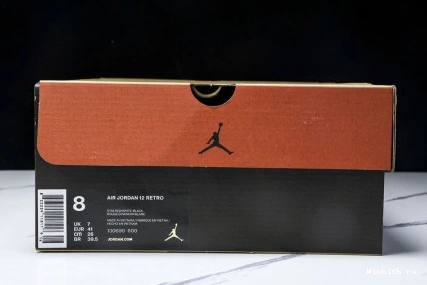 Air Jordan 12 Red